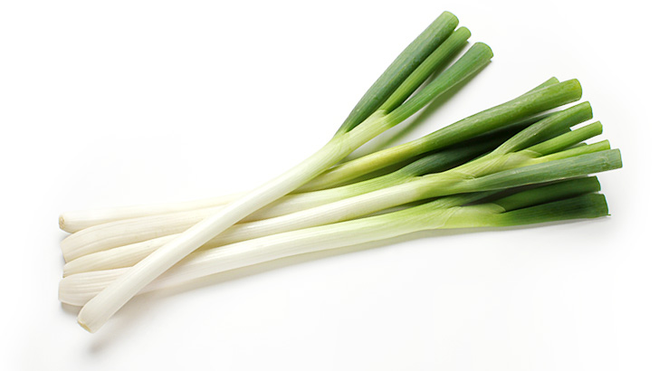 長葱(白ネギ/根深ねぎ)のイメージ画像：食べ物辞典トップ用