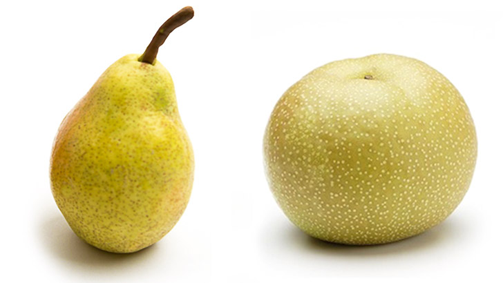 和梨と洋梨の違いの違い比較の記事トップ画像