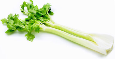 セロリのイメージ画像：食べ物辞典トップ用