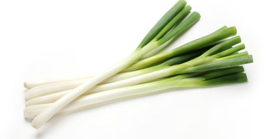 長葱(白ネギ/根深ねぎ)のイメージ画像：食べ物辞典トップ用