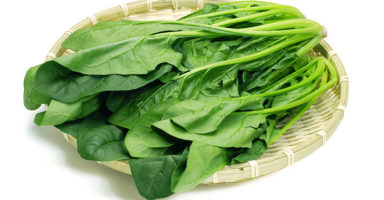 ほうれんそうのイメージ画像：食べ物辞典トップ用