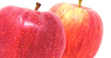 リンゴ/林檎のイメージ画像：食べ物辞典トップ用