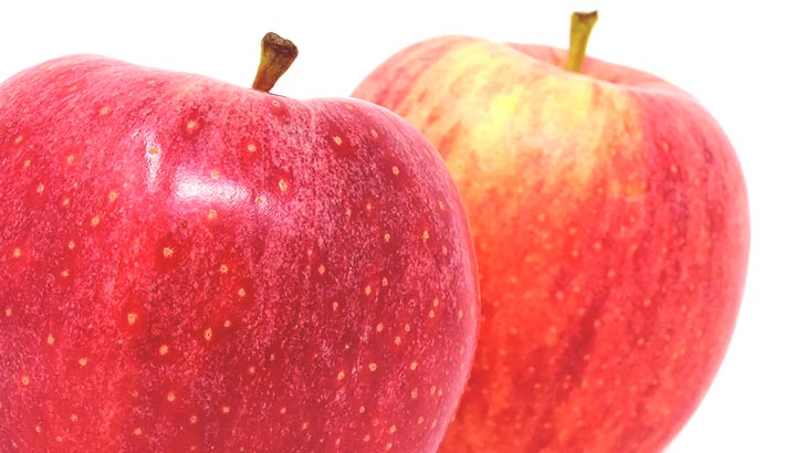 リンゴ/林檎のイメージ画像：食べ物辞典トップ用