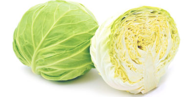 キャベツのイメージ画像：食べ物辞典トップ用