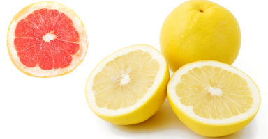 グレープフルーツのイメージ画像：食べ物辞典トップ用