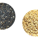 ゴマのイメージ画像：食べ物辞典トップ用(slowbeauty)