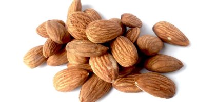 アーモンドのイメージ画像：食べ物辞典トップ用