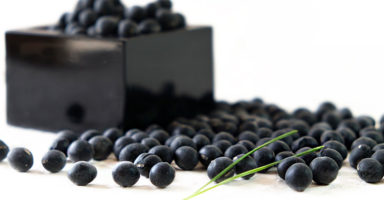 黒豆/黒大豆のイメージ画像：食べ物辞典トップ用