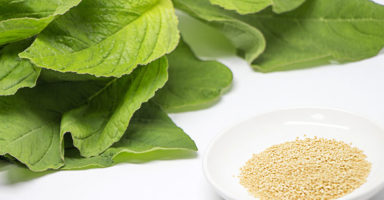 アマランサスのイメージ画像：食べ物辞典トップ用