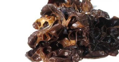 キクラゲ/木耳のイメージ画像：食べ物辞典トップ用