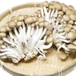 ぶなしめじのイメージ画像：食べ物辞典トップ用