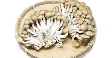 ぶなしめじのイメージ画像：食べ物辞典トップ用