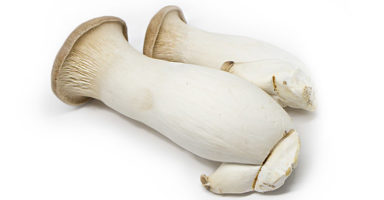 エリンギのイメージ画像：食べ物辞典トップ用