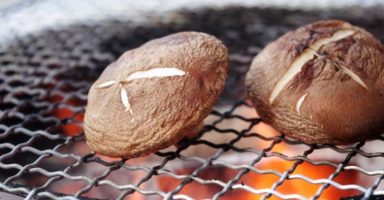 しいたけ(椎茸)のイメージ02