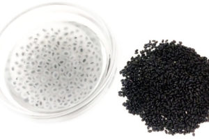 バジルシードのイメージ画像:食べ物辞典トップ用