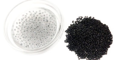 バジルシードのイメージ画像：食べ物辞典トップ用