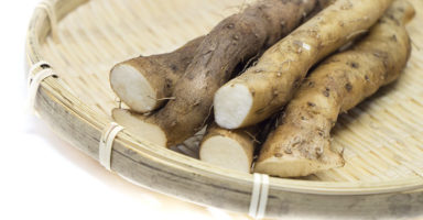 自然薯/山芋のイメージ画像：食べ物辞典トップ用