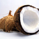 ココナッツ(ココヤシの実)イメージ