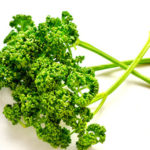 パセリイメージ