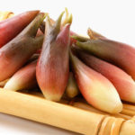 ミョウガイメージ