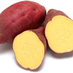 さつまいものイメージ画像：食べ物辞典トップ用