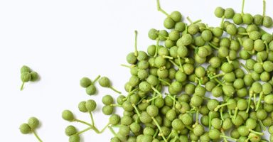 山椒(さんしょう)のイメージ画像：食べ物辞典トップ用