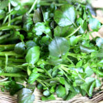 クレソン/ウォータークレスのイメージ画像：食べ物辞典トップ用