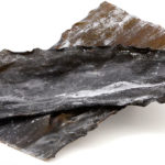 昆布のイメージ画像：食べ物辞典トップ用