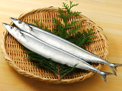 秋刀魚(サンマ)イメージ