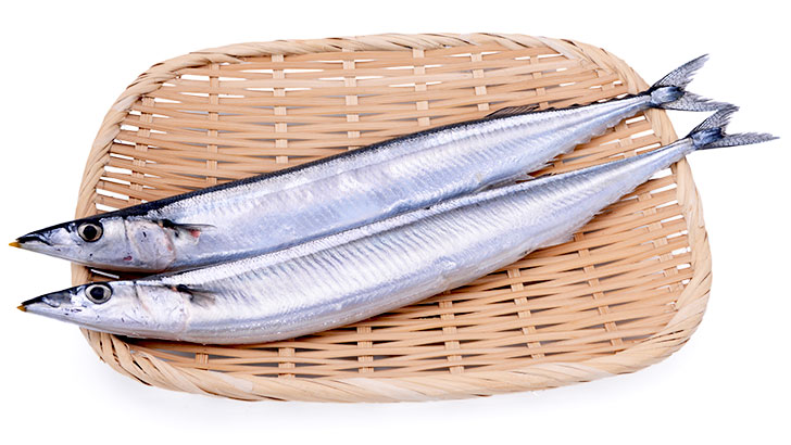 サンマ/秋刀魚のイメージ画像：食べ物辞典トップ用