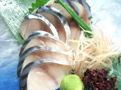 鯖(サバ)イメージ