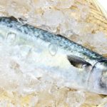 サバ(鯖/さば)のイメージ画像：食べ物辞典トップ用