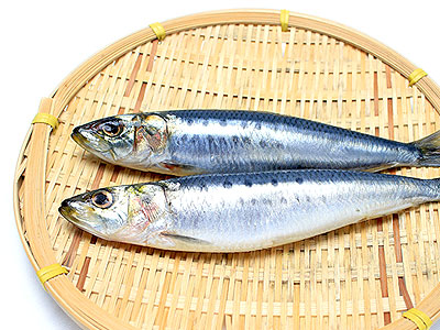 鰯(イワシ)イメージ