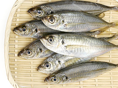 アジ(鯵/鰺)イメージ