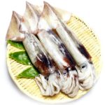 イカのイメージ画像