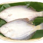 カレイ(鰈)のイメージ画像：食べ物辞典トップ用