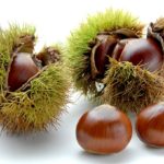 栗のイメージ画像：食べ物辞典トップ用