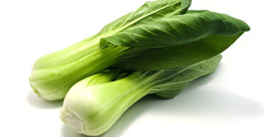 青梗菜/チンゲンサイのイメージ画像：食べ物辞典トップ用