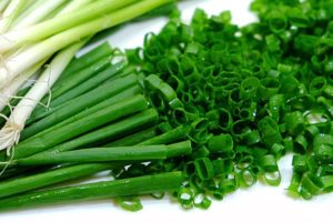 葉ネギ(青葱)のイメージ画像：食べ物辞典トップ用